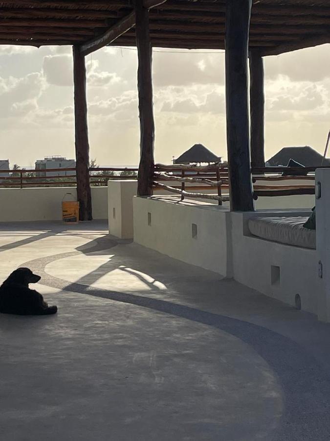 Casa Molly Apartment Isla Holbox Ngoại thất bức ảnh